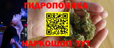 мдпв Гусь-Хрустальный